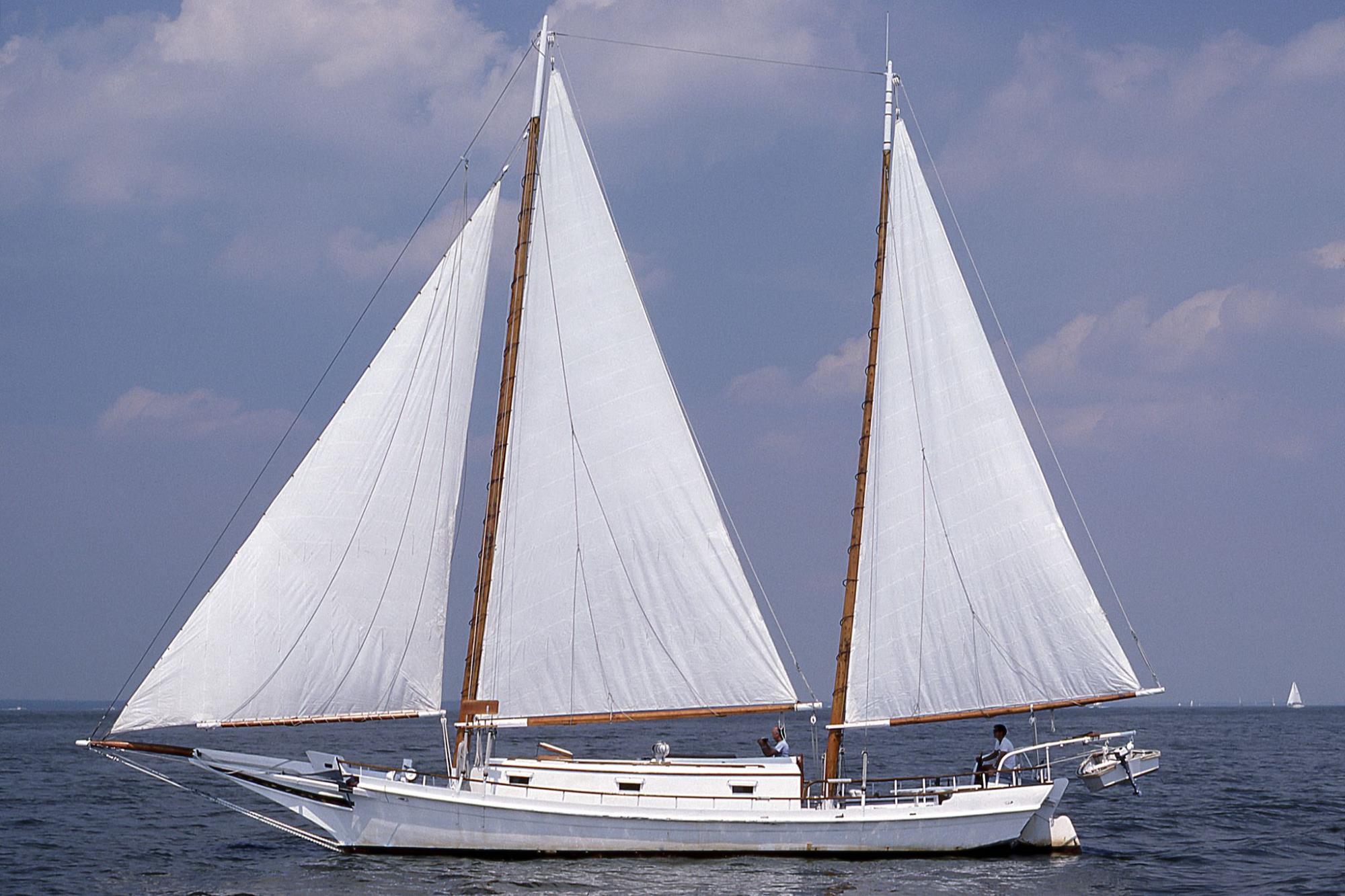 CBMM catalog image